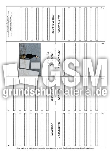 Faltbuch-Kormoran.pdf